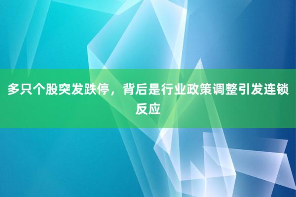 多只个股突发跌停，背后是行业政策调整引发连锁反应
