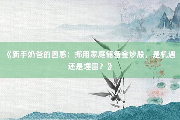 《新手奶爸的困惑：挪用家庭储备金炒股，是机遇还是埋雷？》